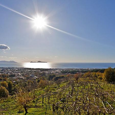 Tenuta Le Fornacelle Torre del Greco Zewnętrze zdjęcie