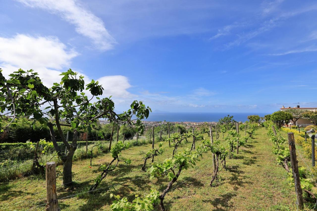 Tenuta Le Fornacelle Torre del Greco Zewnętrze zdjęcie
